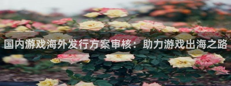 顺盈娱乐平台注册流程图片高清