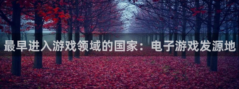 顺盈平台注册流程图