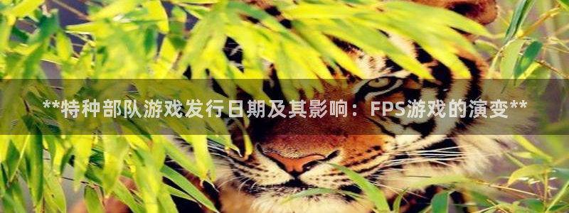 顺盈网络科技有限公司电话