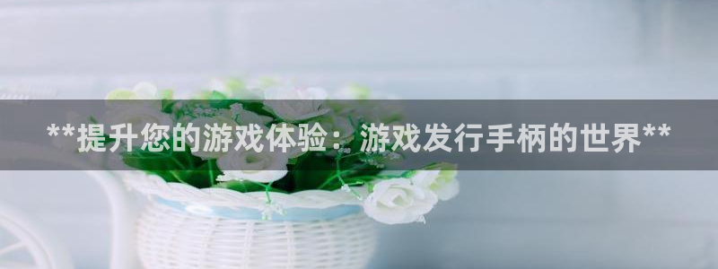 顺盈娱乐平台注册流程视频下载