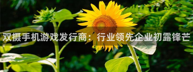 顺盈平台怎么样