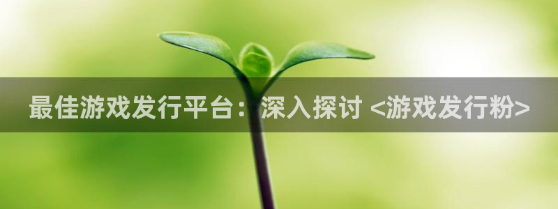 顺盈平台注册开户