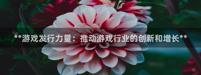 顺盈娱乐登录平台是什么软件：**游戏发行力量：推动游戏行业的创新和增长**