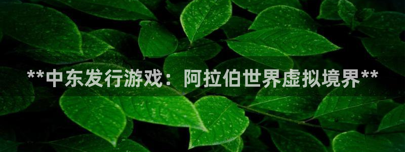顺盈娱乐平台提现被关闭怎么回事儿