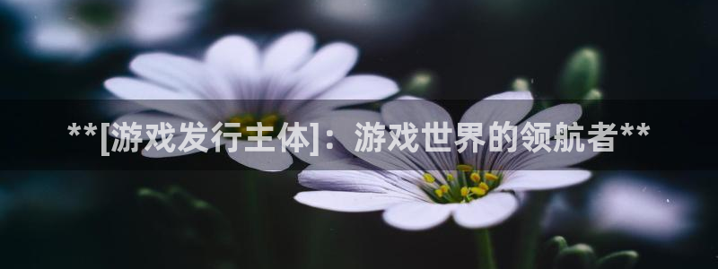 顺盈平台注册流程图片：**[游戏发行主体]：游戏世界的领航者**