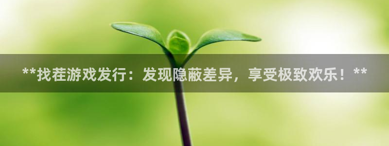 顺盈娱乐平台提现被关闭怎么回事啊安全吗：**找茬游戏发行：发现隐蔽差异，享受极致欢乐！**