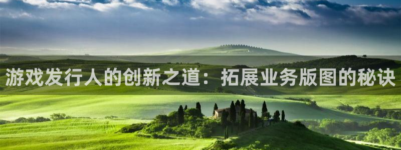 顺盈网络科技有限公司招聘：游戏发行人的创新之道：拓展业务版图的秘诀