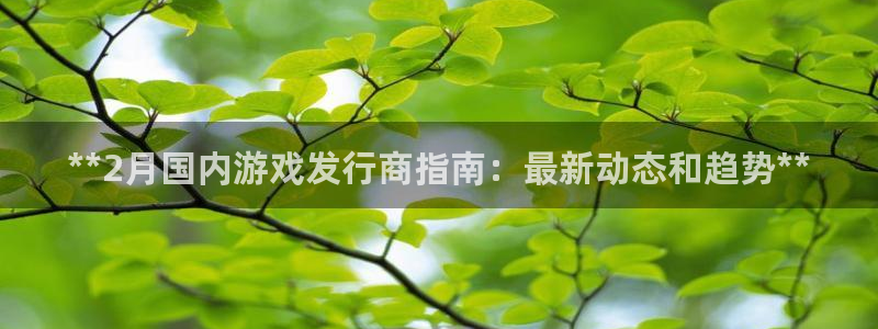 顺盈平台注册资金多少亿：**2月国内游戏发行商指南：最新动态和趋势**