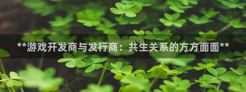 顺盈娱乐供7O777：**游戏开发商与发行商：共生关系的方方面面**