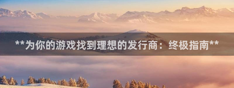 顺盈平台注册流程视频：**为你的游戏找到理想的发行商：终极指南**
