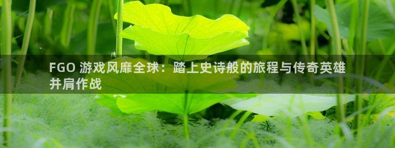 顺盈网络科技有限公司怎么样