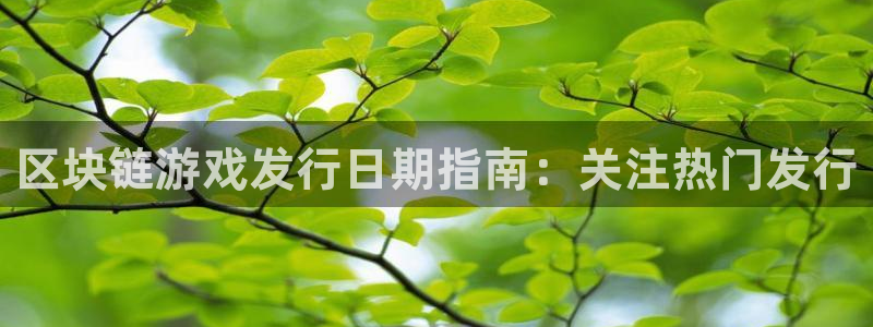 顺盈娱乐领导联系方式