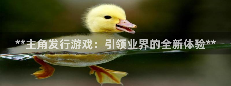 顺赢国际游戏：**主角发行游戏：引领业界的全新体验**