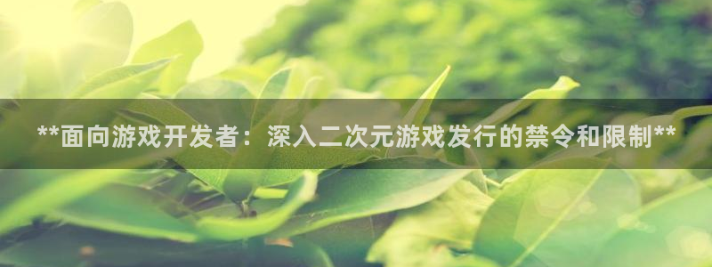 顺盈电子有限公司：**面向游戏开发者：深入二次元游戏发行的禁令和限制**