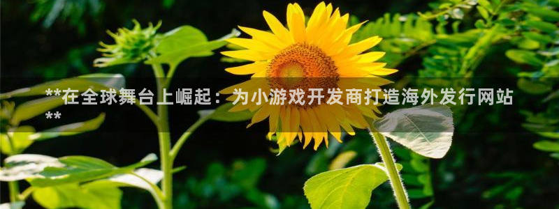 顺盈娱乐平台提现被关闭怎么回事儿呀：**在全球舞台上崛起：为小游戏开发商打造海外发行网站
**