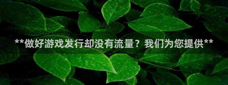 顺盈国际下载安装：**做好游戏发行却没有流量？我们为您提供**