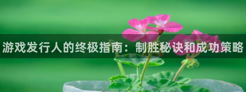 顺盈国际下载安装：游戏发行人的终极指南：制胜秘诀和成功策略