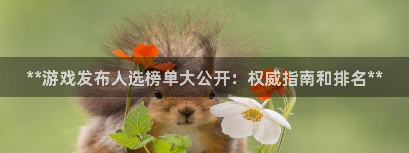 顺盈娱乐官网首页登录：**游戏发布人选榜单大公开：权威指南和排名**
