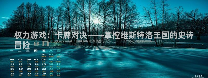 顺赢网络科技有限公司：权力游戏：卡牌对决——掌控维斯特洛王国的史诗
冒险