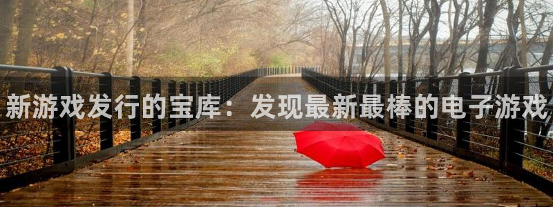 顺盈娱乐用什么加速器可以登录账号呢：新游戏发行的宝库：发现最新最棒的电子游戏