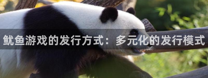 顺盈平台注册地址在哪看