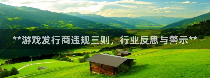 顺赢电子官网：**游戏发行商违规三则，行业反思与警示**