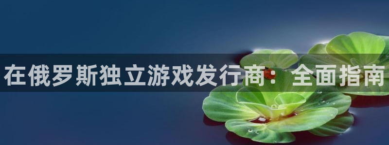 顺盈平台注册资金多少钱：在俄罗斯独立游戏发行商：全面指南