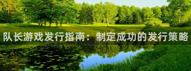 顺盈娱乐登录平台下载官网苹果：队长游戏发行指南：制定成功的发行策略