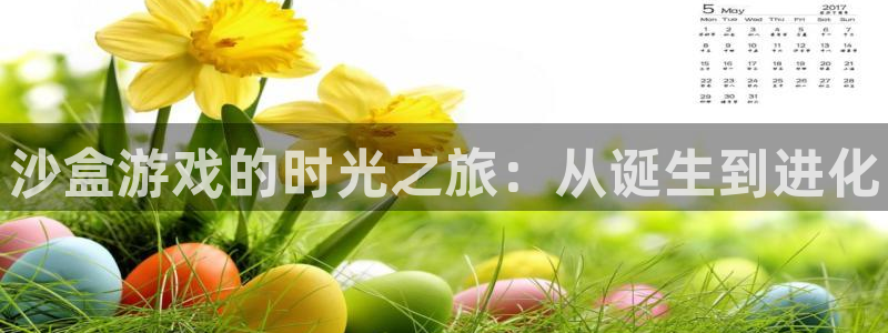 顺盈娱乐用什么加速器可以登录账号呢：沙盒游戏的时光之旅：从诞生到进化