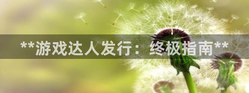 顺盈平台开户：**游戏达人发行：终极指南**