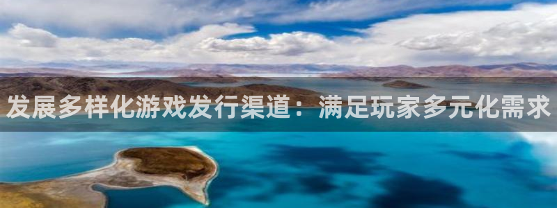 顺盈娱乐扣款成功了吗现在：发展多样化游戏发行渠道：满足玩家多元化需求