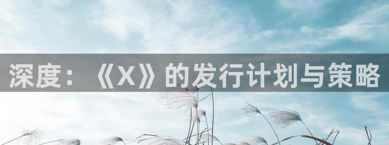 顺赢娱乐：深度：《X》的发行计划与策略