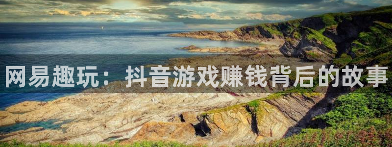 顺盈娱乐公司介绍图片高清：网易趣玩：抖音游戏赚钱背后的故事