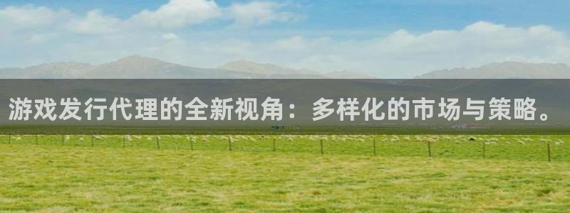 顺盈平台主管：游戏发行代理的全新视角：多样化的市场与策略。