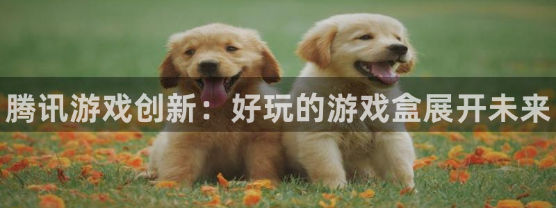 顺盈娱乐登录平台是什么意思