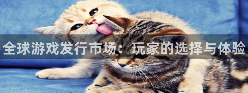 顺盈app是真的吗