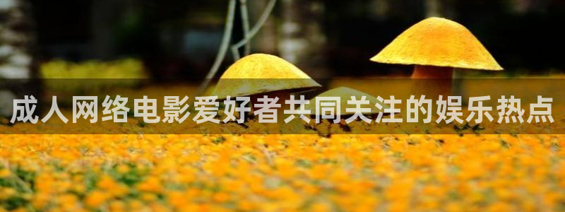 真不卡影院免费观看