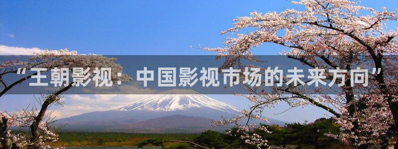 真不卡影视app软件下载