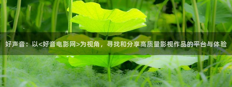 真不卡影视官网