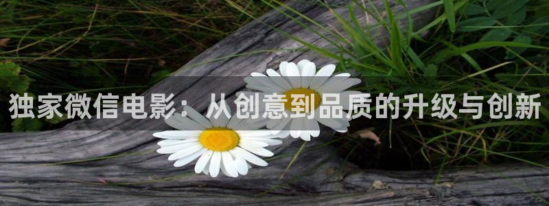 真不卡影院电影盒子免费观看