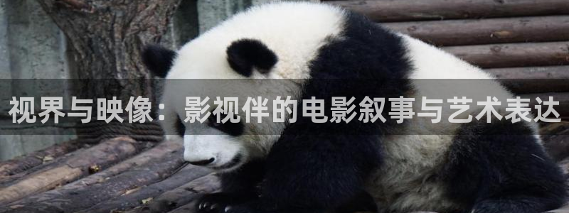 真不卡影院官网